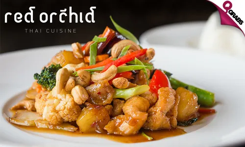 Thai Cuisine Set Menu Dinner at Red Orchid Restaurant!